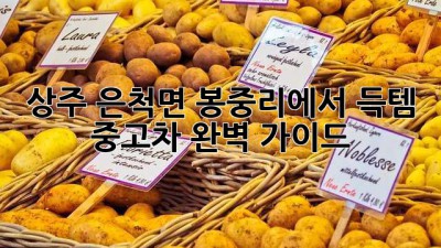 상주 은척면 봉중리에서 득템?! ✨ 중고차 완벽 가이드 🚗