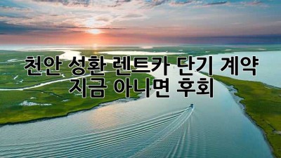 천안 성환 렌트카🚗 단기 계약, 지금 아니면 후회?!
