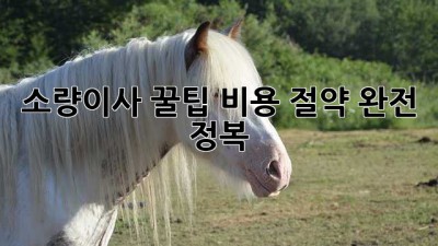 소량이사 꿀팁🍯: 비용 절약 완전 정복! 📦🚚💰